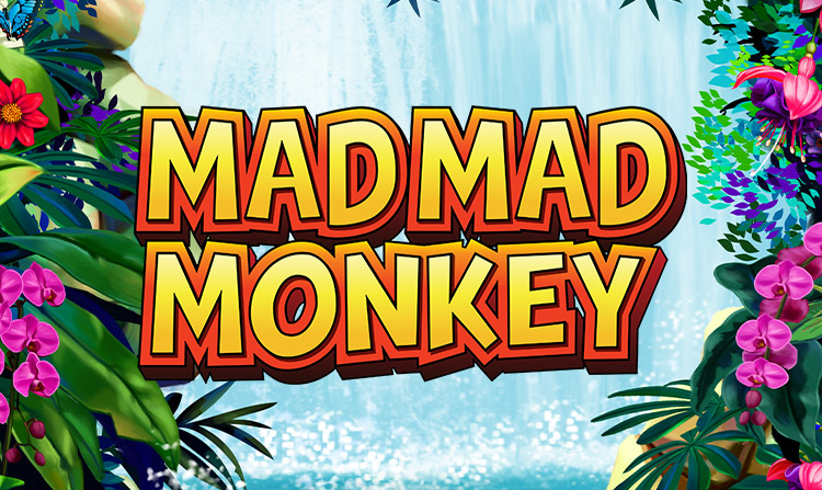 Mad Mad Monkey Slot logo Slots Baby